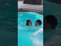 POV Wedding Pool Party