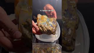 Download lagu Which one blew your mind? ✨Follow us for more!✨ #gemstones #bismuth #amethyst #crystalfacts mp3