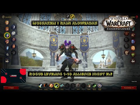 How to leveling Rogue Shadowlands Leveling Guide From 1 - 10 fast & easy