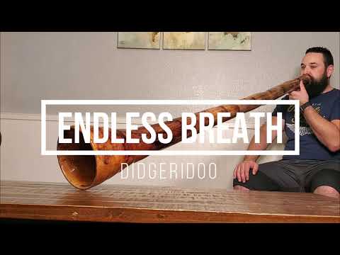 Agave didgeridoo in C# with a 7" bell