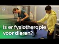 Is er fysiotherapie voor dieren? | Vragen van Kinderen
