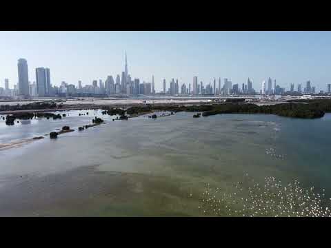 Discover Ras Al Khor Wildlife Sanctuary & Dubai Creek | A Must Visit Destination UAE, 4K.