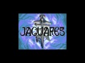 jaguares visible
