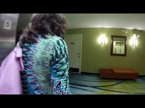 SpringHill Suites Houston, Medical Center/NRG Park