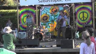 Bearcoon • It's Just You and Me