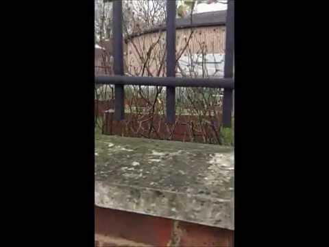 E2 Fashion Film- Shoreditch & Hoxton