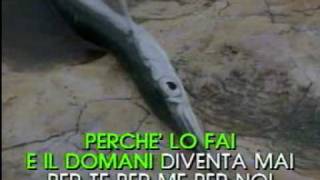 Marco Masini - Perchè lo fai (Karaoke)