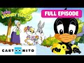 Comfort Level Like A Duck To Water FULL EPISODE Baby Looney Tunes Cartoonito