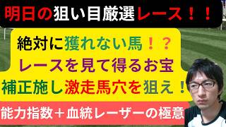 [競馬/能力指数 ]明日の厳選狙い目公開 新理論該当馬がまさかの大穴馬！