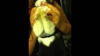 Justin biber parody (so funny and stupid)!!