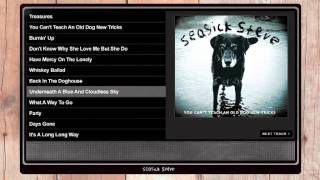 Seasick Steve - You Cant Teach An Old Dog New Tricks video