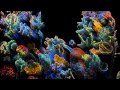 Funkadelic - Maggot Brain HD