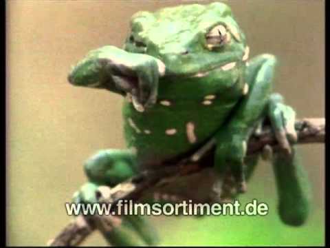 Gelenksteife ICD Schmerzen im Rücken oberhalb der Taille nach rechts, wenn Sie husten