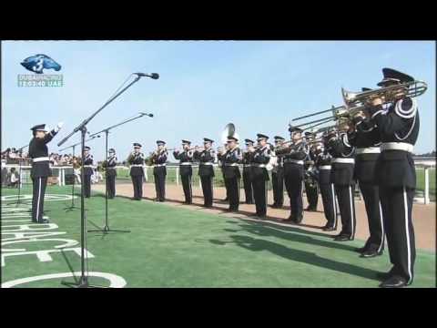 Yushun Himba (Japanese Oaks)