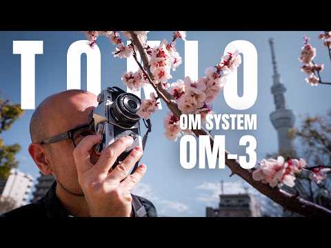 🔴 DIRECTO | Espectacular imagen de los cerezos en flor en Japón