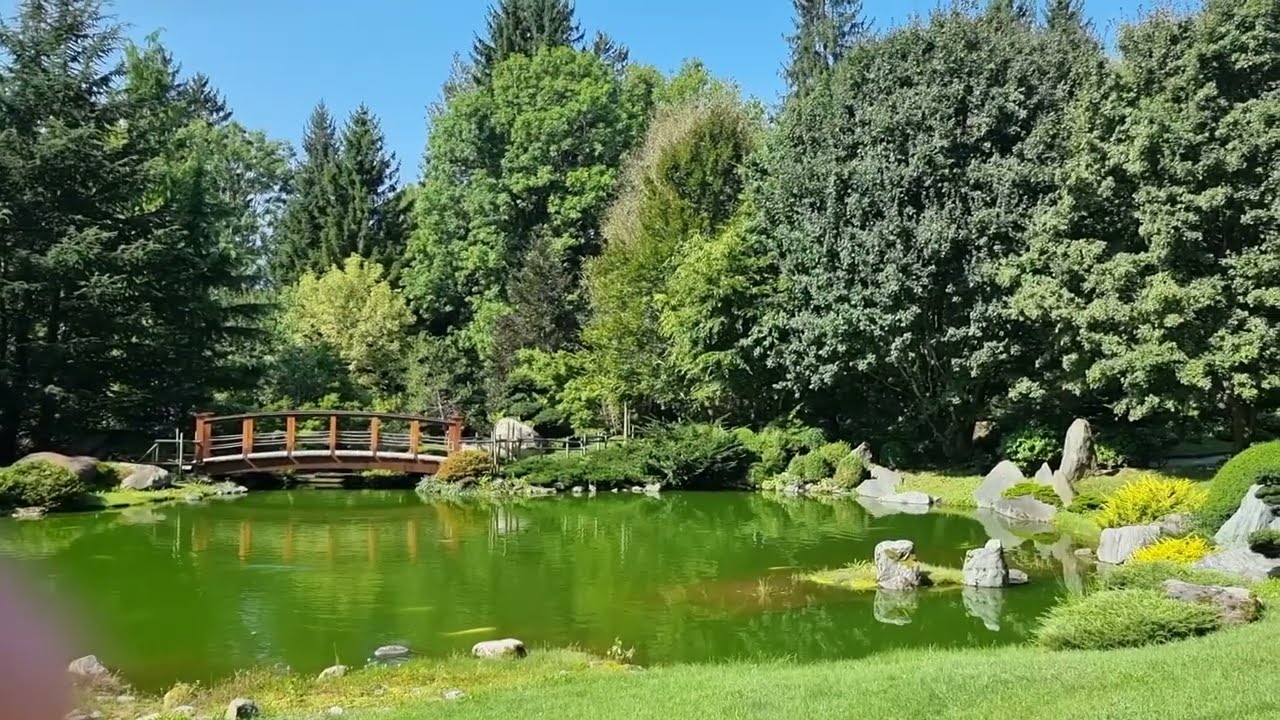 Im Geiste Japans - Meditation