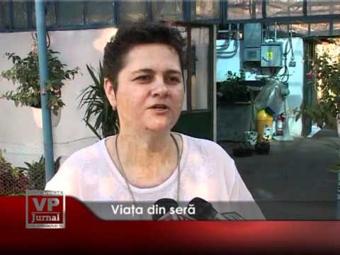 Viața din seră