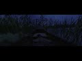 Tribulation Nightbound