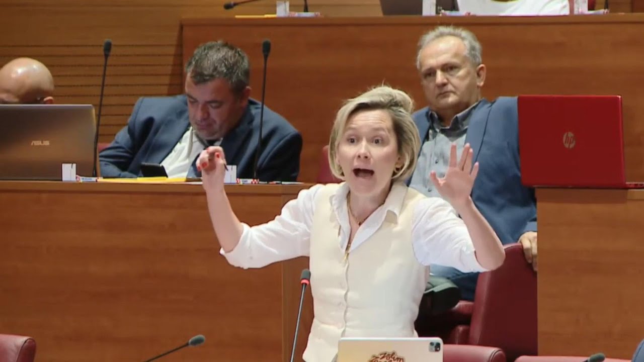 Hrvatski sabor nije izglasao priznanje Palestine Nastala žestoka svađa !