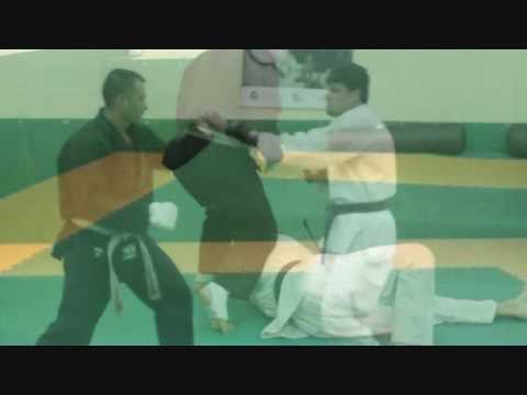 High Ligts Shotokan Karate Jutsu.wmv
