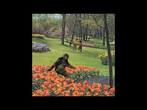 Digigurl - When You Move On