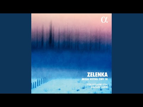 Missa Votiva in E minor, ZWV 18: 9. Quoniam tu Solus Sanctus