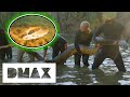 Giant Anaconda Measures Up At 19ft Long Mysterious Creatures With Forrest Galante