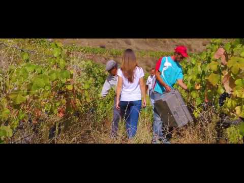 Santos e Seixo - Fruit of love for wine