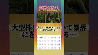 【日本株乱高下】半導体急落で焦る人へ。大口投資家が密かに買っている“別の場所”#日本株 #日経平均 #株価暴落 #株式投資 #投資初心者 #資産運用 #注目銘柄#JapanStocks
