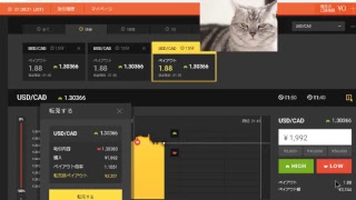 【FX】1万円から始める為替取引【BO】6
