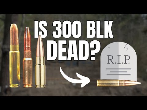 Which is BEST? - 3 New Rounds Tested