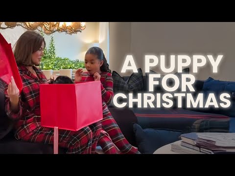 The Newest Addition to Our Family | Khloé Kardashian