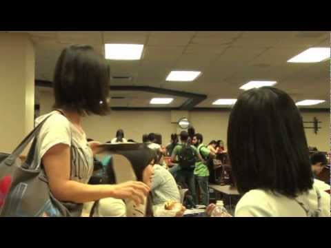 How is your American life?