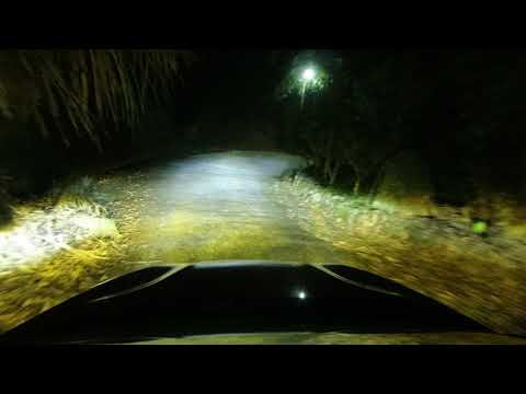 Ford Focus mk4 Adaptives Intelligentes LED @ 阿里山