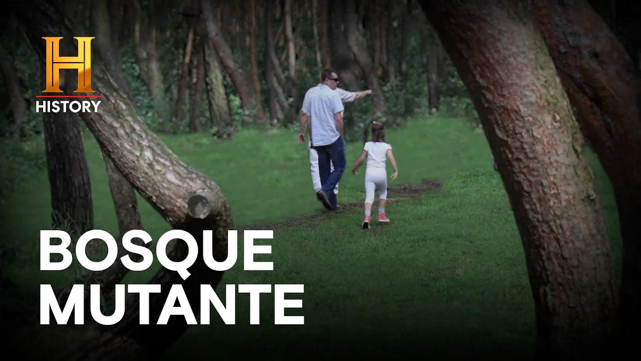 BOSQUE MUTANTE: LOS PINOS TORCIDOS EN POLONIA 🇵🇱 - Inexplicable con William Shatner