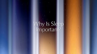 Estee Lauder Why is Sleep Important? | Dr. Matthew Walker