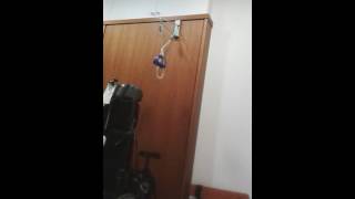 Download lagu Cctv mp3 Download lagu Cctv mp3