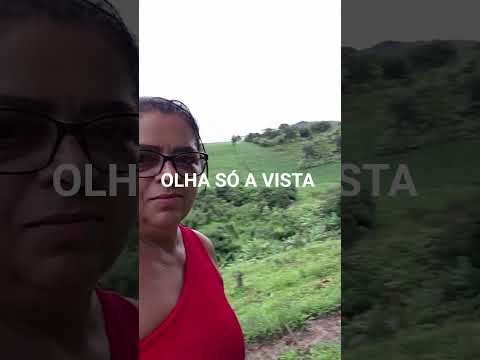 Jaqueira Pernambuco Brasil