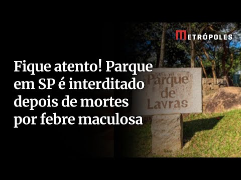 Parque no interior de São Paulo é interditado após mortes por febre maculosa