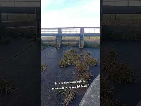 Laguna del Sauce Maldonado Uruguay