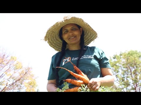 Caso de Sucesso: Ivanete Ferreira - Barro Alto, BA