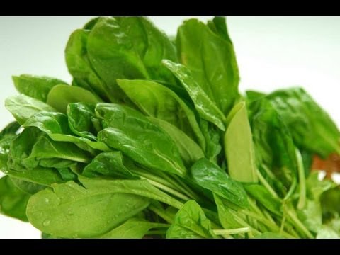 download lagu mp3 mp4 Spinach Bunch, download lagu Spinach Bunch gratis, unduh video klip Spinach Bunch