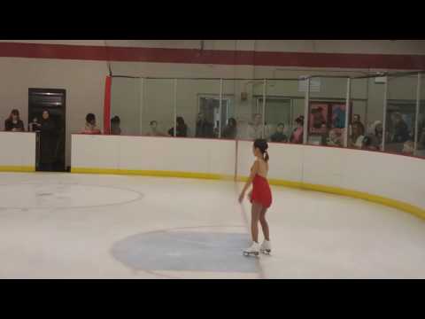 2017 Winter Blizzard #Skokie(2)