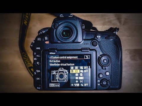 Nikon D850 Menu Settings for Wildlife Photography | Nikon setup tips