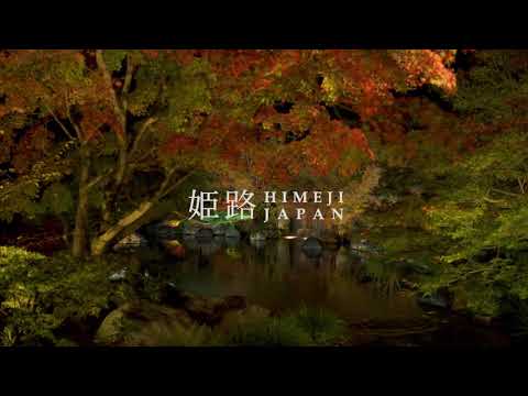 07 Illuminated Autumn Leaves in Kokoen Garden, Himeji,  Japan 好古園紅葉とライトアップ(4K)