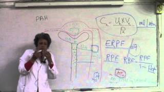 11-physiology Dr.mona Aziz  (kidney) 24/3/2016 (till end of micturation)