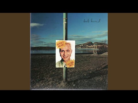 Nu Är Det Väl Revolution På Gång - bob hund