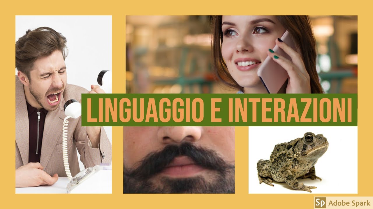 Gli Assiomi della Comunicazione - Video 3 di 3 - Linguaggio e interazioni