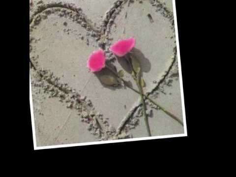 🌺TA-PATI-SE-LIUA_[TE VII O SINALIU]2016🌺