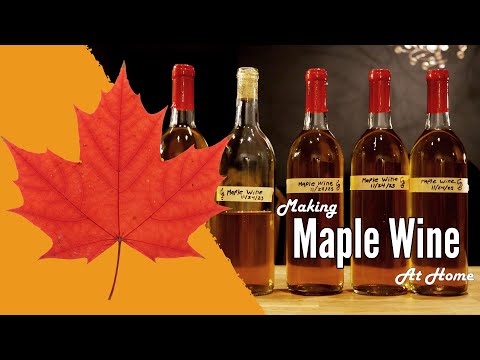 Make Your Own Maple Wine (It's Super Easy!)